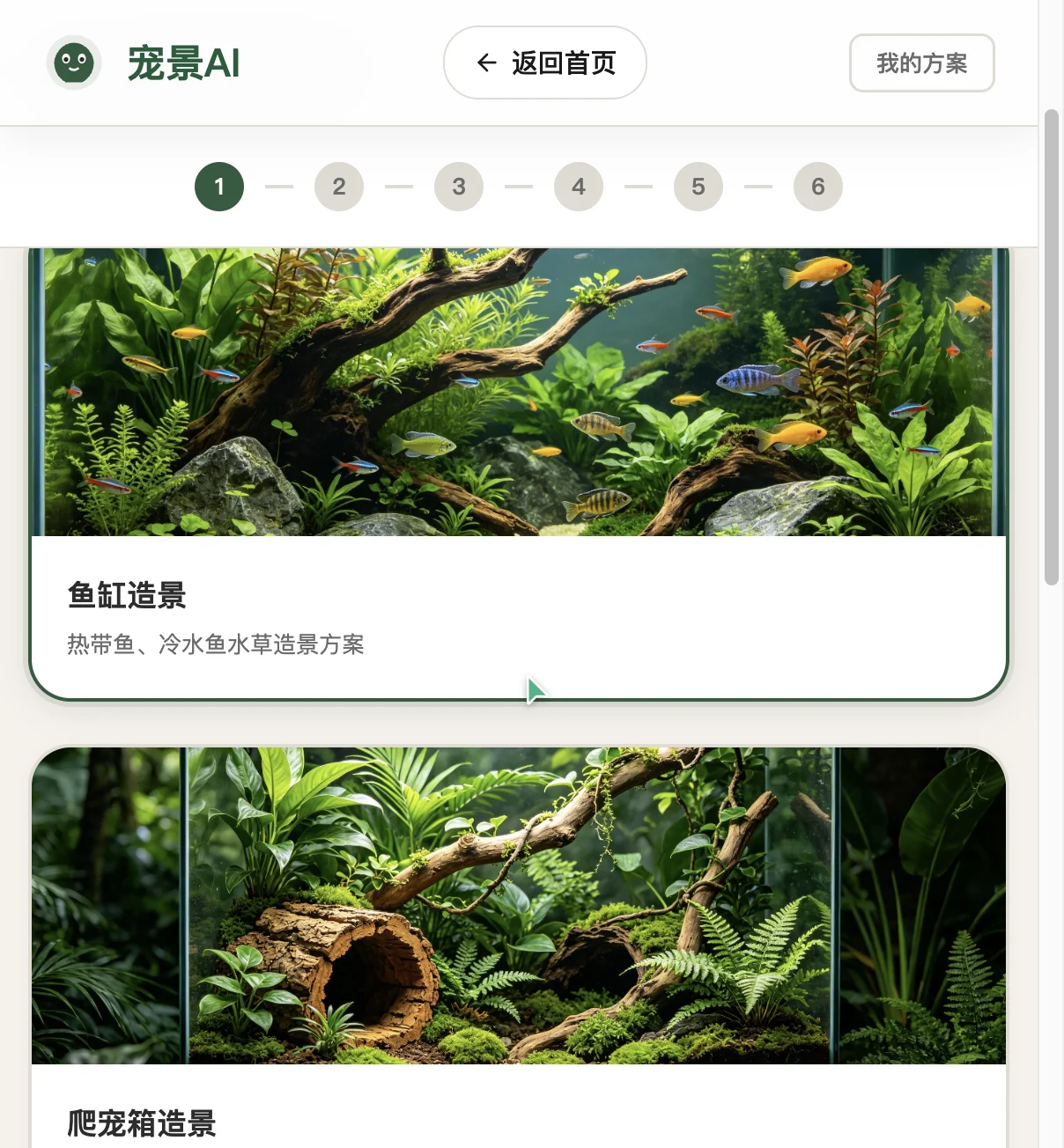 选宠物与风格